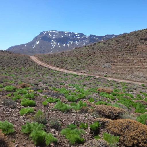 عکس شهر بابک