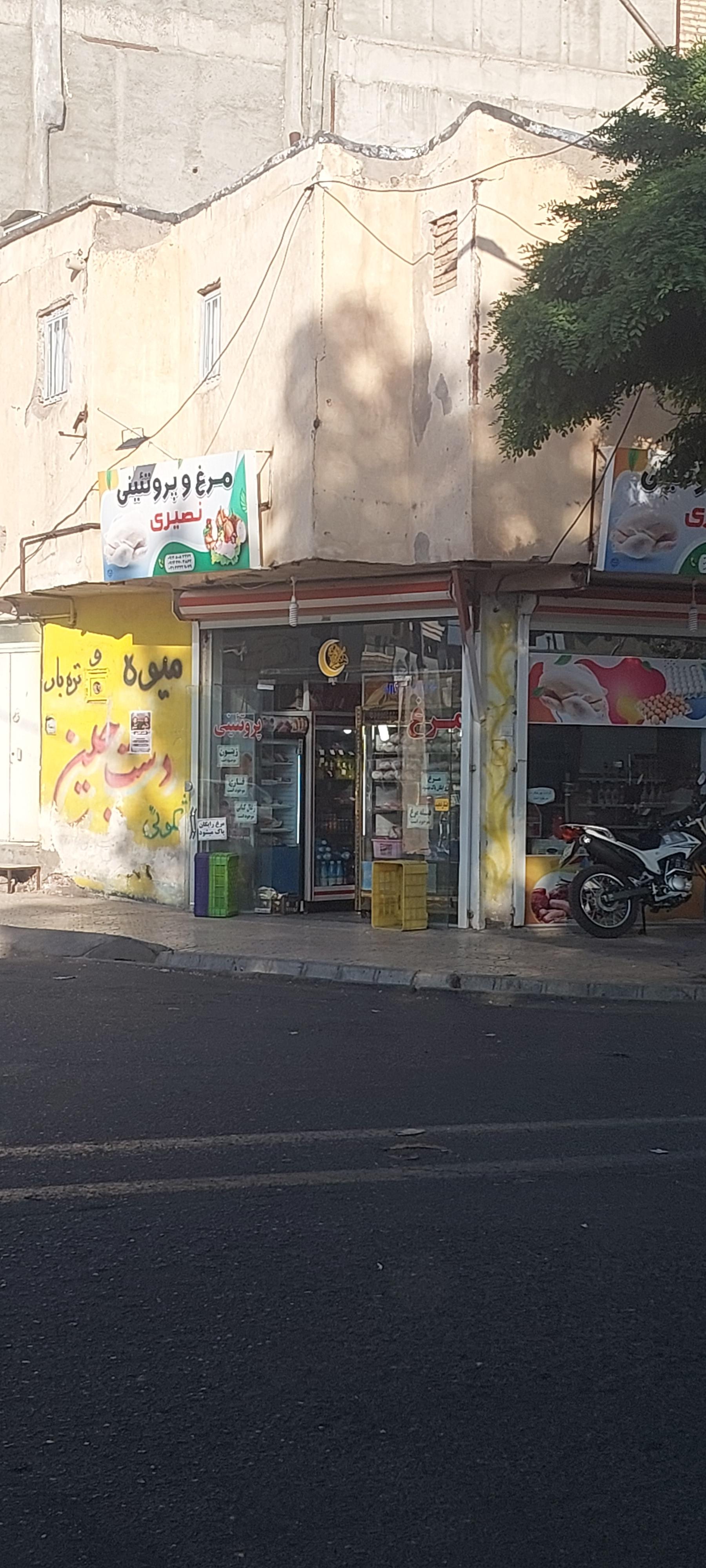 عکس مرغ و پروتین نصیری