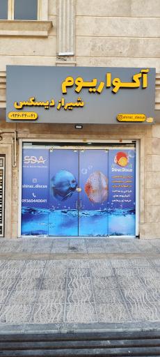 عکس شیراز دیسکس اکواریوم