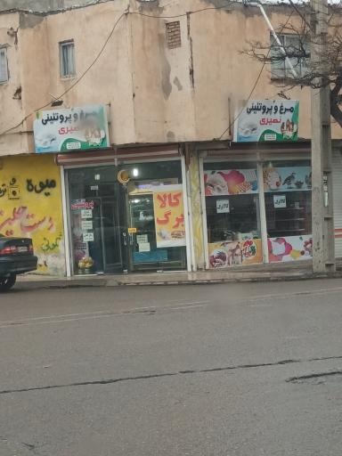 عکس مرغ و پروتین نصیری