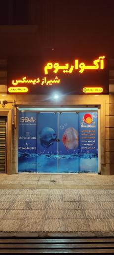 عکس شیراز دیسکس اکواریوم