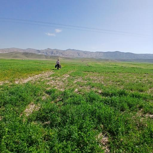 عکس قوچان