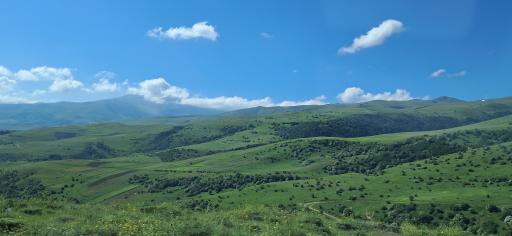 عکس حاتم مشه سی