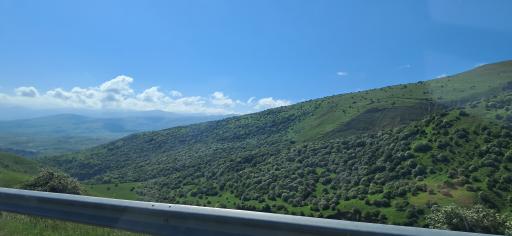 عکس حاتم مشه سی