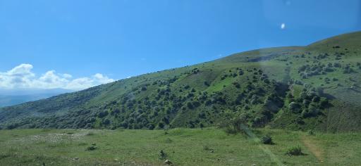 عکس حاتم مشه سی