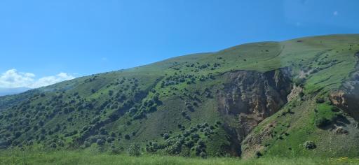 عکس حاتم مشه سی