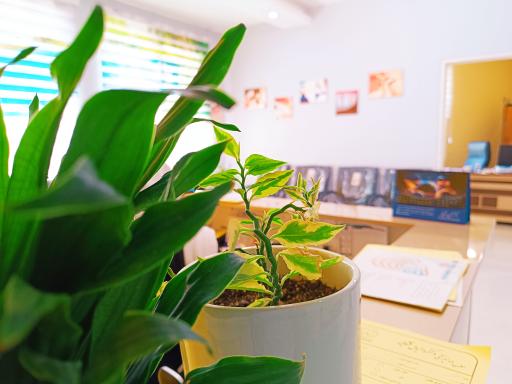 عکس مطب دکتر دانیال قشقایی 