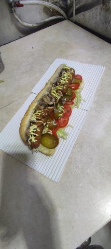 عکس ساندویچ بست فود