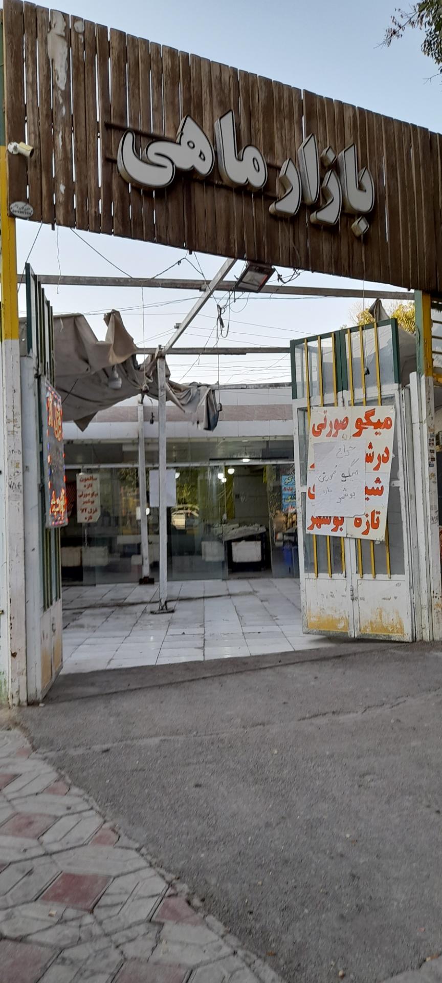 عکس بازار ماهی