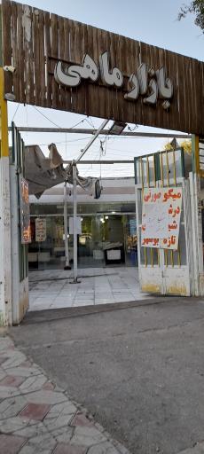 عکس بازار ماهی