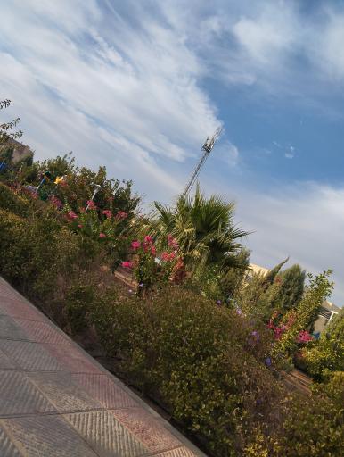 عکس بوستان بانوان