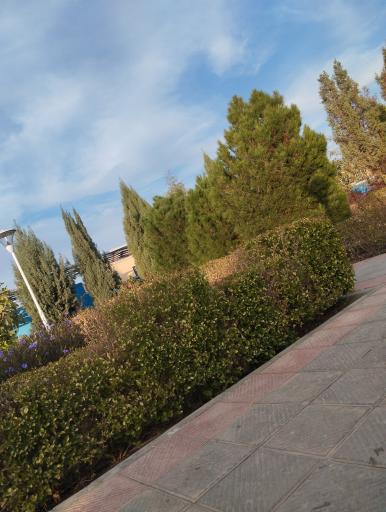 عکس بوستان بانوان