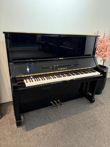 عکس گالری پیانو آبنوس