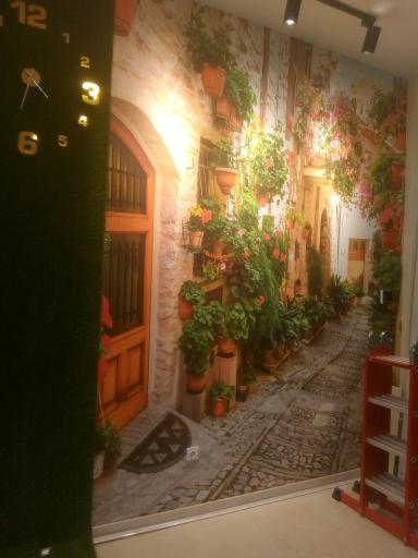 عکس کارا دکور (امیر خالوباقری)