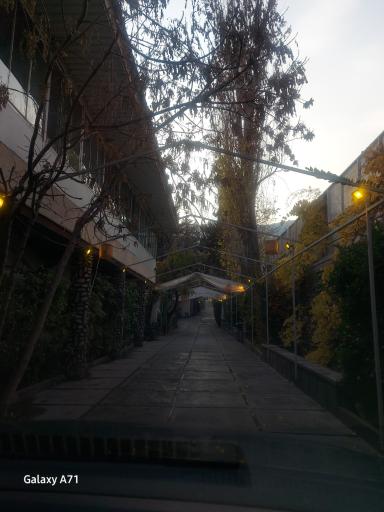 عکس باغ رستوران رز 