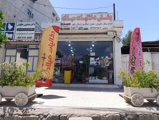 دخانیات میلاد