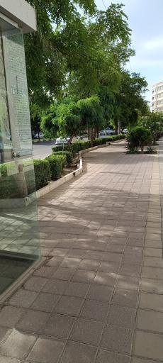 عکس  میرزا کوچک خان 9