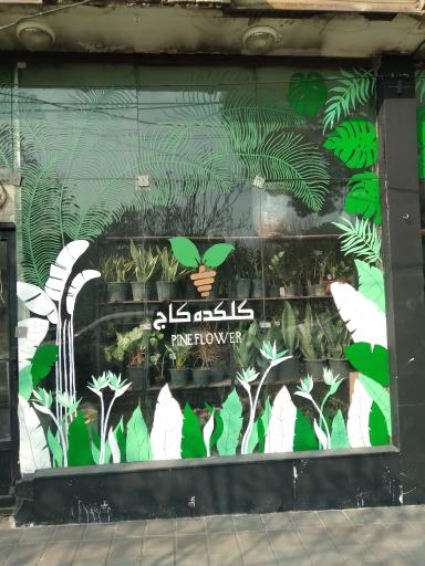 عکس گلکده کاج