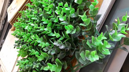 عکس کارا دکور (امیر خالوباقری)