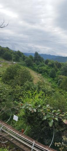 عکس بام تالش