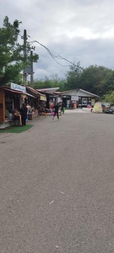 عکس بام تالش