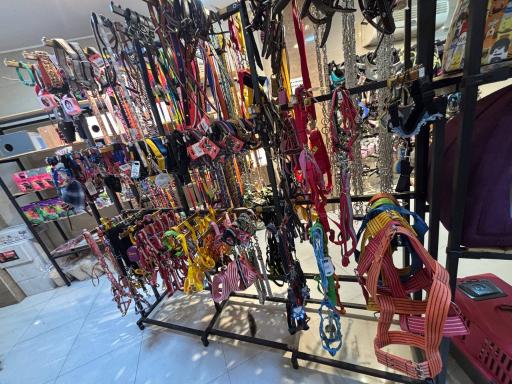 پانا پت شاپ