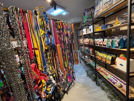 عکس پانا پت شاپ