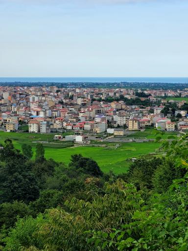 عکس بام تالش