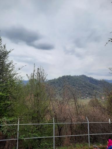 عکس بام تالش