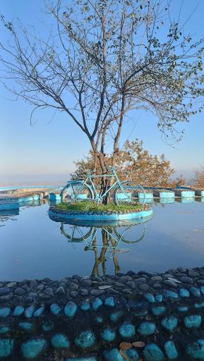 عکس بام تالش