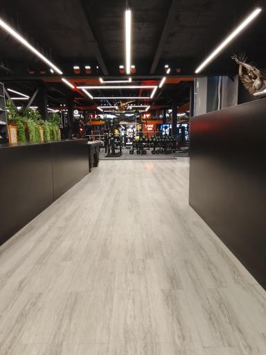 عکس باشگاه بدنسازی یوز