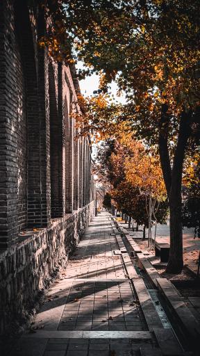 عکس مرکز اسناد و کتابخانه ملی فارس