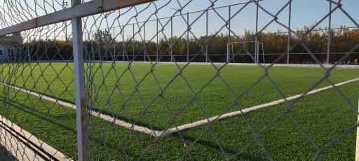 عکس زمین چمن خلیج فارس 