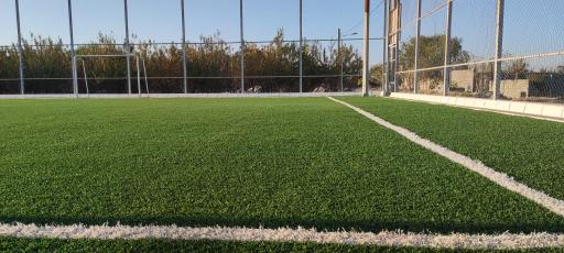 عکس زمین چمن خلیج فارس 