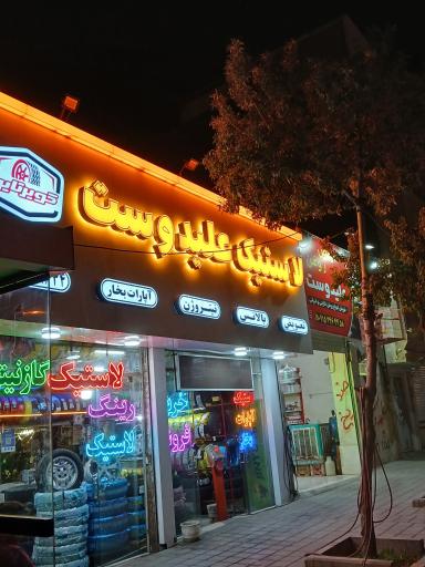 عکس لاستیک علیدوست