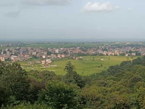 عکس بام تالش