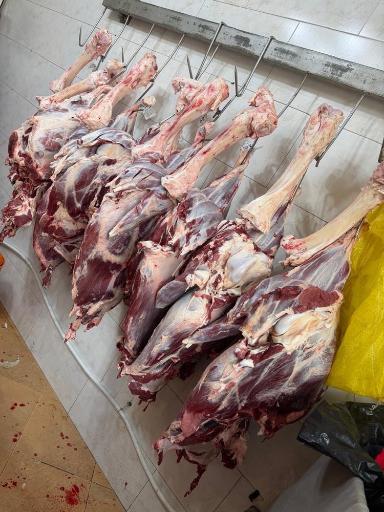عکس گوشت بره سفید