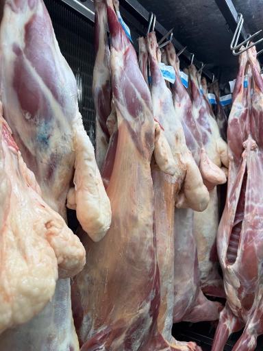 عکس گوشت بره سفید