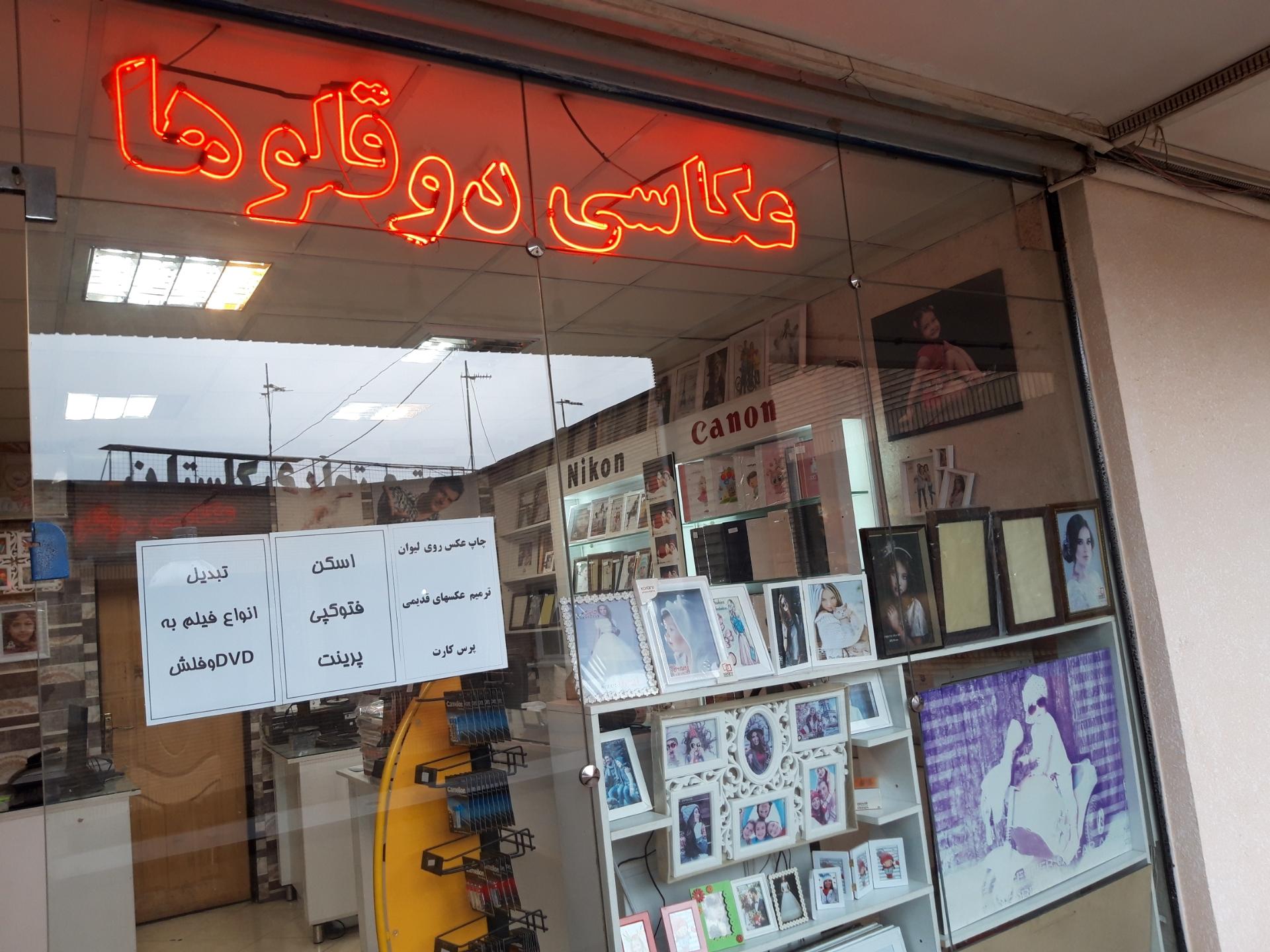 عکس عکاسی دوقلوها