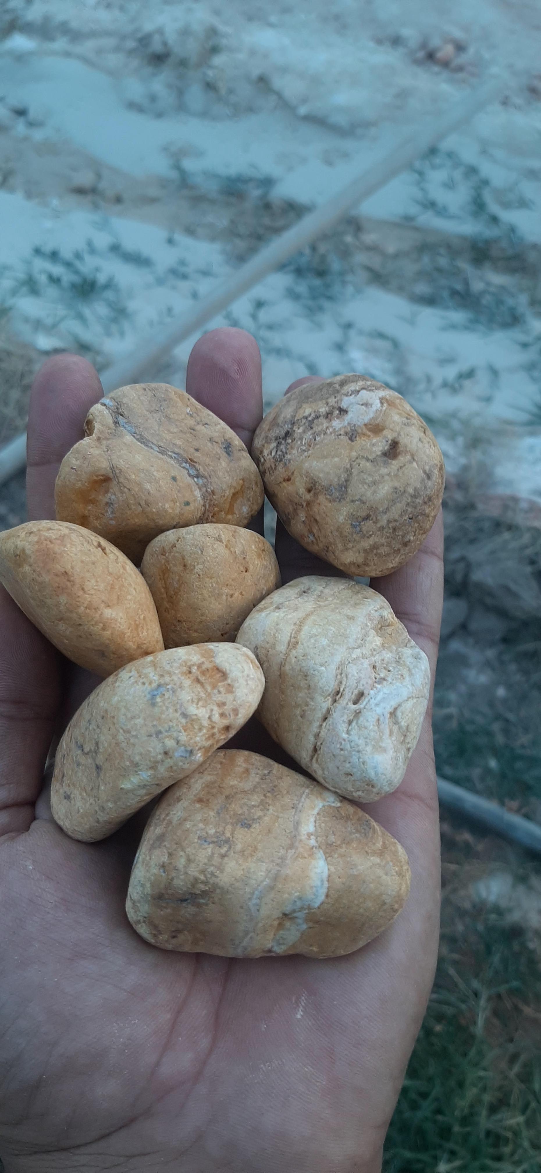عکس سنگ کوبی آریا 