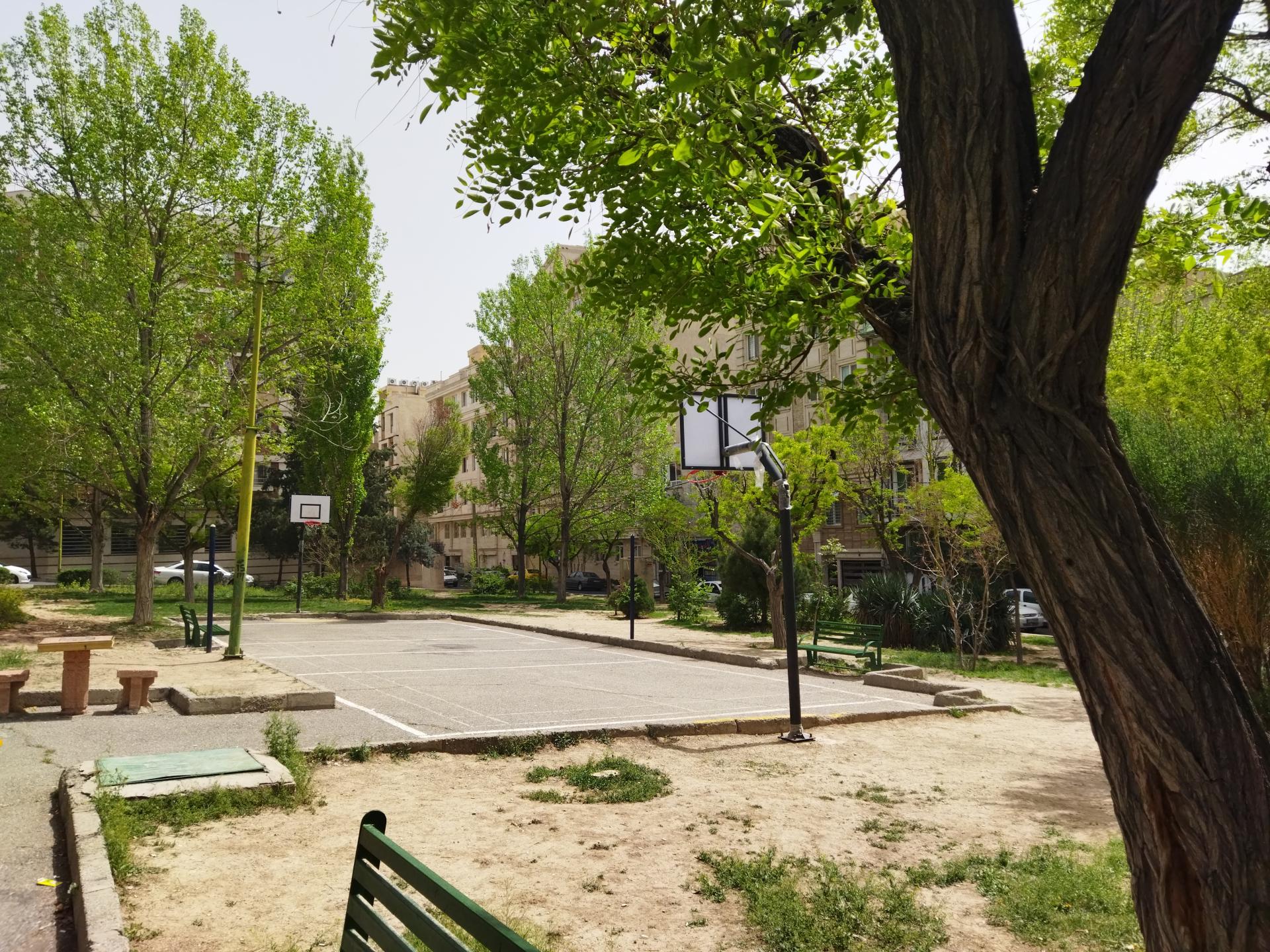 عکس زمین بسکتبال بوستان میلاد