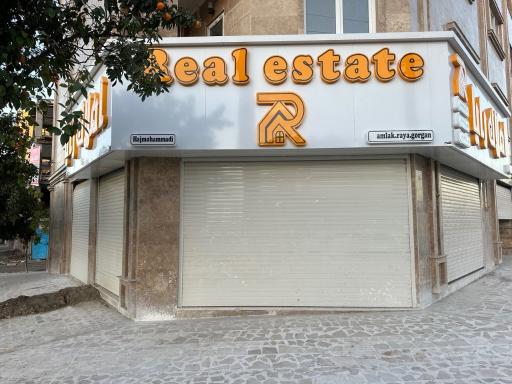 عکس مشاور املاک رایا