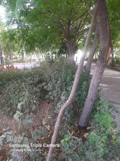 عکس پارک نماز