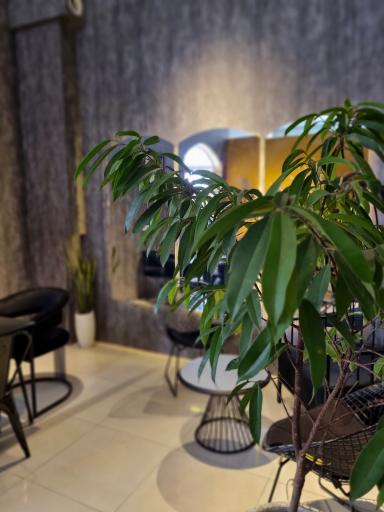 عکس کافی شاپ