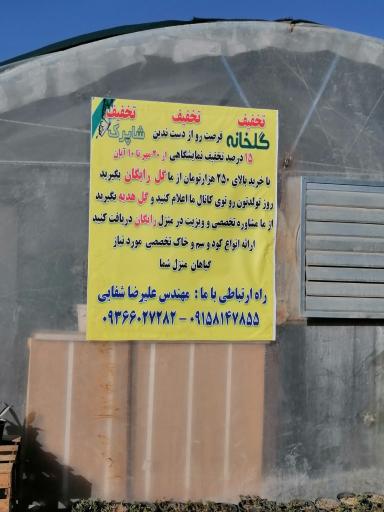 عکس گلخانه شاپرک مهندس علیرضا شفایی