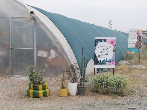 عکس گلخانه شاپرک مهندس علیرضا شفایی