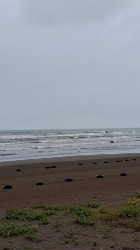 عکس ساحل نمک آبرود