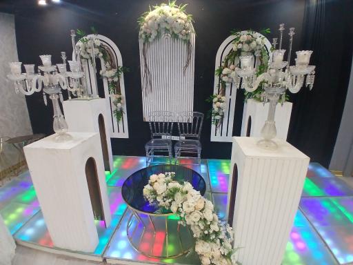 عکس عمارت الیزه