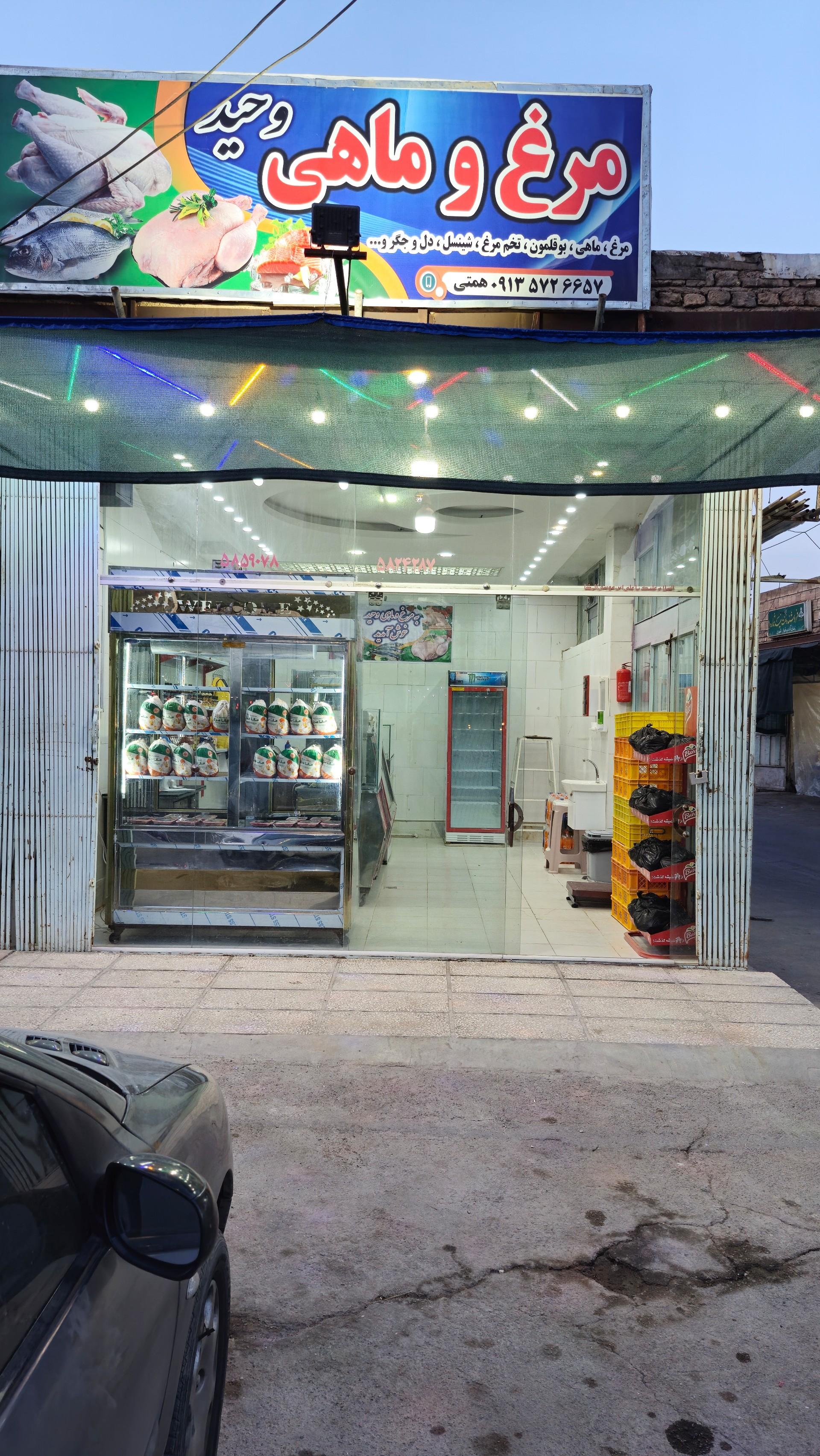 عکس مرغ و ماهی وحید
