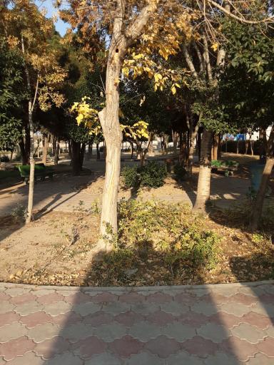 عکس پارک معلم